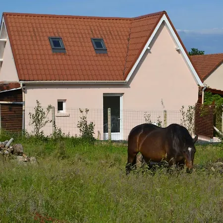 Le Paddock Des Caloges