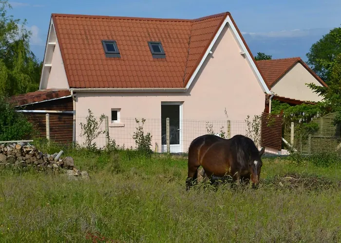 Le Paddock Des Caloges